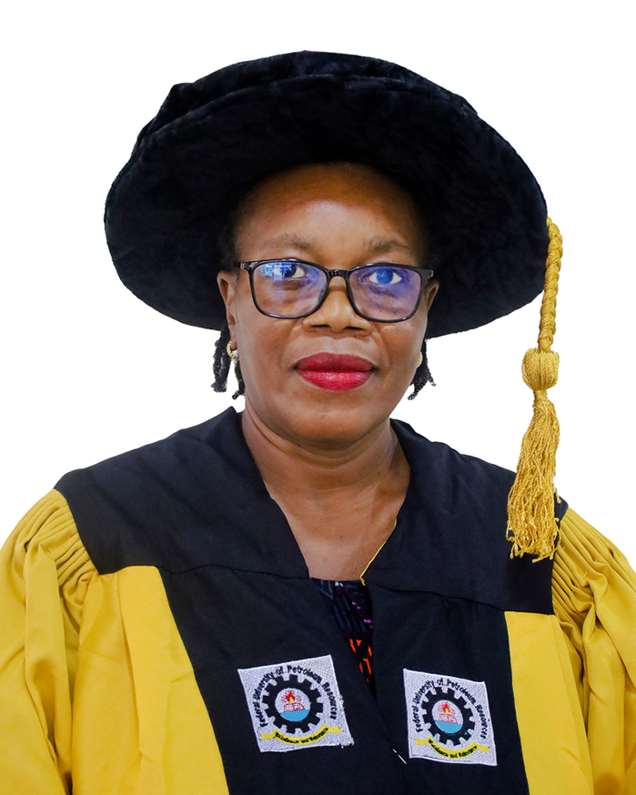 Engr.Prof_.ChieduN.Owabor